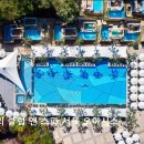 도심속자연나무한의원 | 서울 중구 야외 수영장 반얀트리 클럽 앤 스파 서울 오아시스 도심 속 자연 휴식 공간