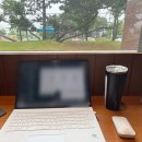 스타벅스 대전송강