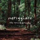 메리지아레 이미지