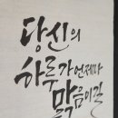 마스터캘리포토그라피