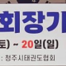 용인대 케이탑 태권도 이미지