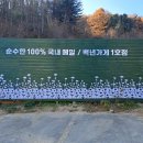 옛골 | 봉평장 맛집 추천 장날 구경 후 들른 봉평메밀옛골 후기