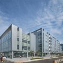 슈올즈 괴정점 이미지