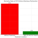코지동물의료센터 이미지