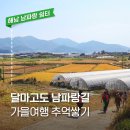 남파랑쉼터 안내소 네이버블로그