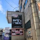 태평한돼지 이미지