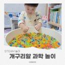 알파문구 워터비즈 개구리알 장난감 놀이