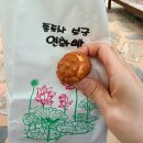 양산늘푸른약국 | 양산 통도사 부처님오신날 행사 VR 무료체험, 주차 입장료