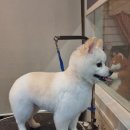 유스타 그루밍 이미지