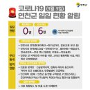팔미마트 이미지