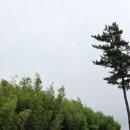 새대한목장 이미지