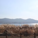 외포리버스터미널 이미지