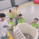 용인대 아리랑 태권도장 이미지