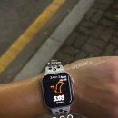 강진-44 | 짧은일기 44 밀렸도다 밀렸도다 왕창 밀렸도다