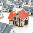 덕진-115 이미지