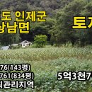 국유림으로 둘러쌓인 힐링의 안식처 3,237㎡(977평) 5억3천7백만원 이미지