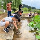 웅포초등학교 이미지