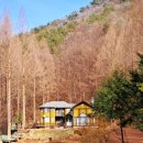 충남 논산 산책하기 좋은 온빛자연휴양림 방문 후기