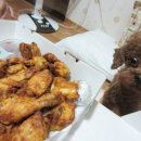 유용한 프로그램 모음 이미지