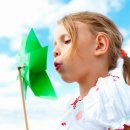 주택관리사시험자격정지 는 무엇인가요? 이미지