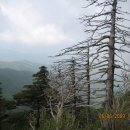 지리산서바이벌 이미지
