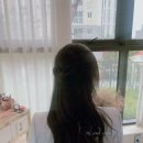 제이뷰(J VIEW)