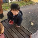 🍇 포도나무 소품샵 이미지