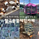 두카페 | 칠곡 구미근교 아이와 가볼만한곳 ‘칠곡동물체험카페’ 두돌아기 후기