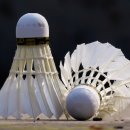 배드민턴 이미지