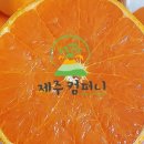 노지컴퍼니
