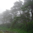 솔향기마을 이미지