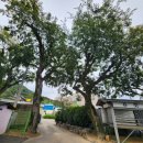 구소석길 이미지