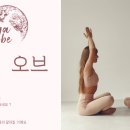 요가5 이미지