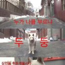 쓰담쓰담 이미지