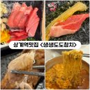 생생도도참치