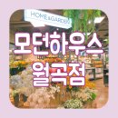 국화라이프세탁 | 월곡 모던하우스 매장 2023 가을신상 구경하기 홈플러스 주차안내