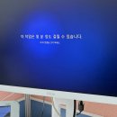 박상은 | 완전히 무너지지는 않는 것이 바로 완벽한 안정이다.