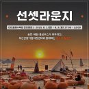 댕댕하개 이미지