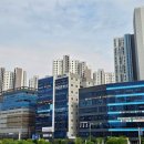 핀 하이 골프 스튜디오 | 경산 골프연습장 핀하이골프스튜디오 드라이버 레슨 후기