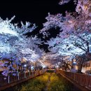 고강(주) 이미지