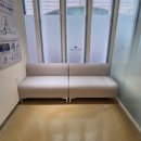 베이지동물병원 | 반려동물 배변 오염·스크래치 걱정 끝! 청담동 동물병원 비라인 패리콘 소파 납품 후기