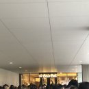 10-A | 아이나나 10주년 이벤트 "A10TiONPLEASE!"&amp;"HiGHTENSiONFUSiON!" 후기 애니메이트 콜라보카페 레인보우...