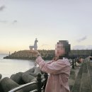 둘레길관광농원 | 4일 패키지여행(2일차)] 카멜리아힐, 석부작관광농원, 퍼시픽리솜, 제주밭담길, 더마파크, 노리매, 송악산