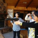 렉스소프트 이미지