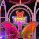 포천 소소 | 생각없이 저녁 산책으로 방문했다가 규모에 깜짝 놀란 포천 한탄강 가든페스타 후기