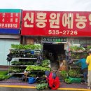 신흥원예