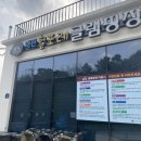 경북 글램핑 힐포레 글램핑에서 고기 구워먹으며 힐링 (바베큐 꿀템)