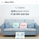 (주)라이코스펫 | 강아지를 위한 강아지 계단 겸 노즈워크<젤리펫 노즈스텝>