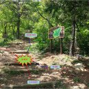 안심산 둘레길 이미지