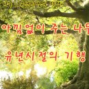 유년시절의 기행 (아낌없이 주는 ~) 이미지